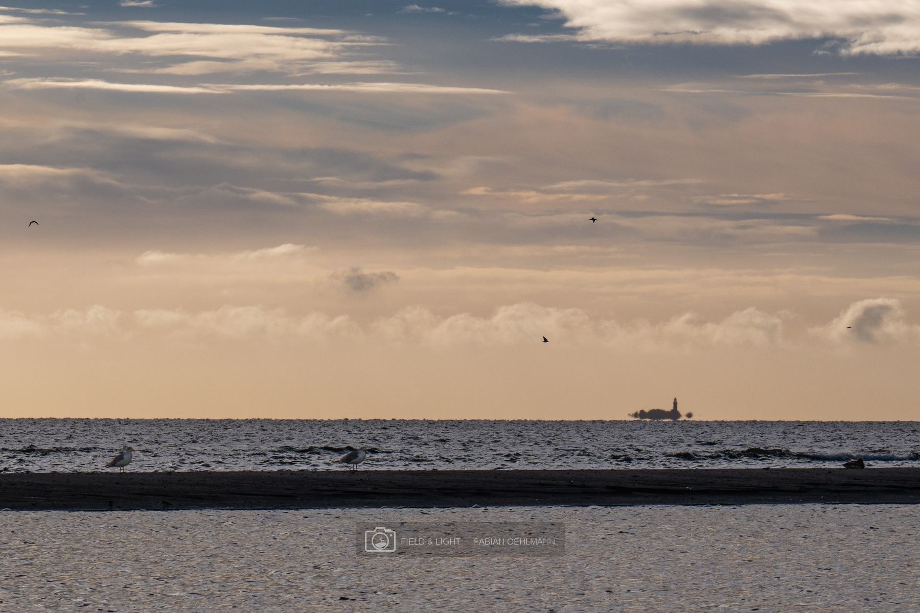 Hirsholmene lighthouse floating above the horizon in a morning mirage, with gulls on a sandbar in the foreground