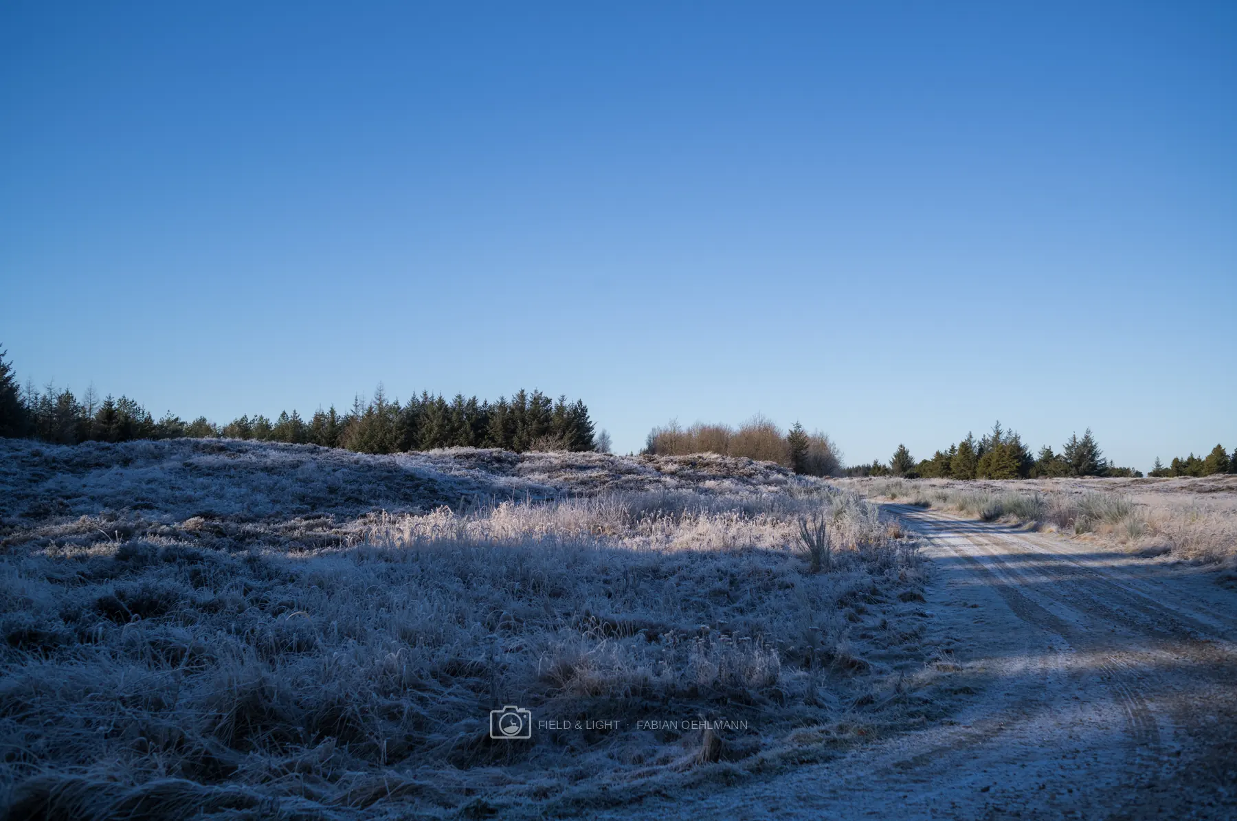 Snow-covered Nordic heath under clear blue sky
