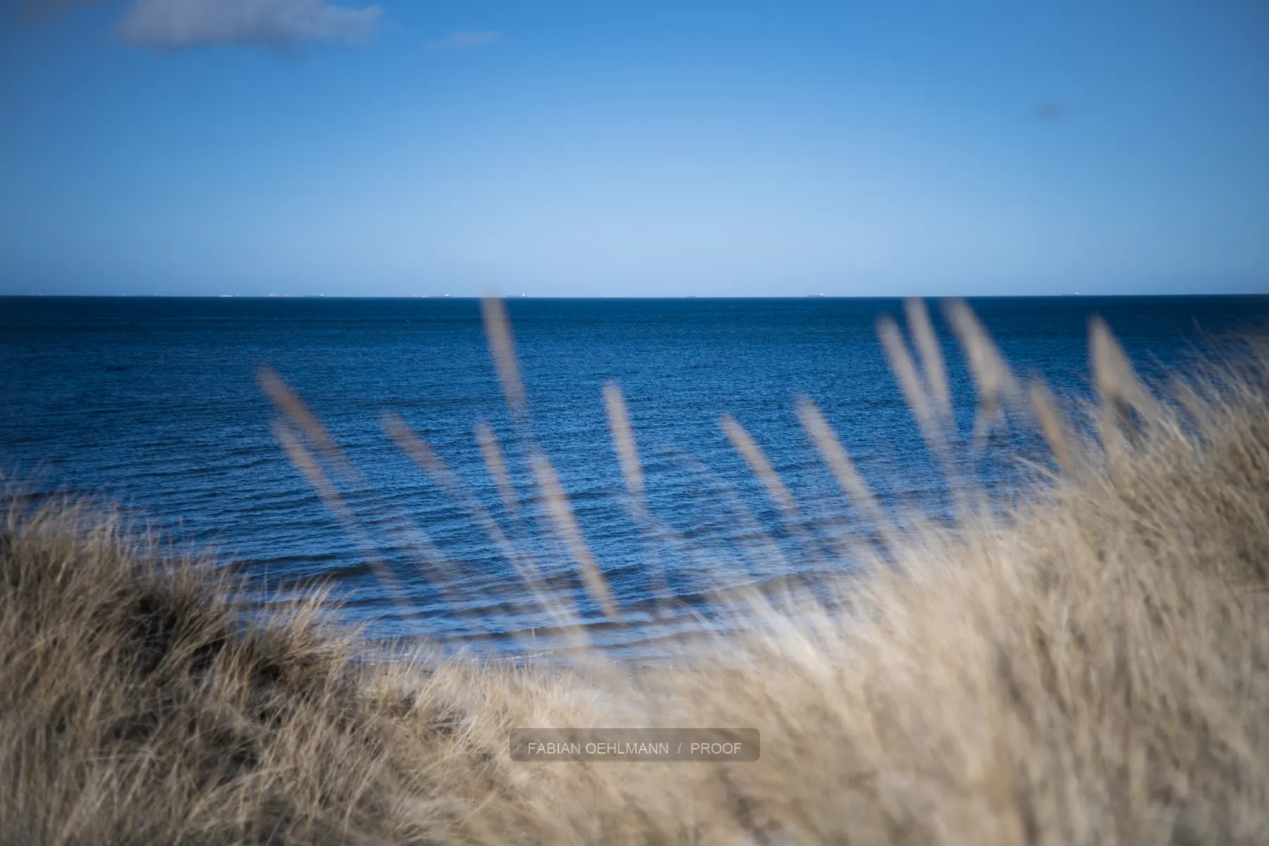 Dry dune grass against a deep blue sea