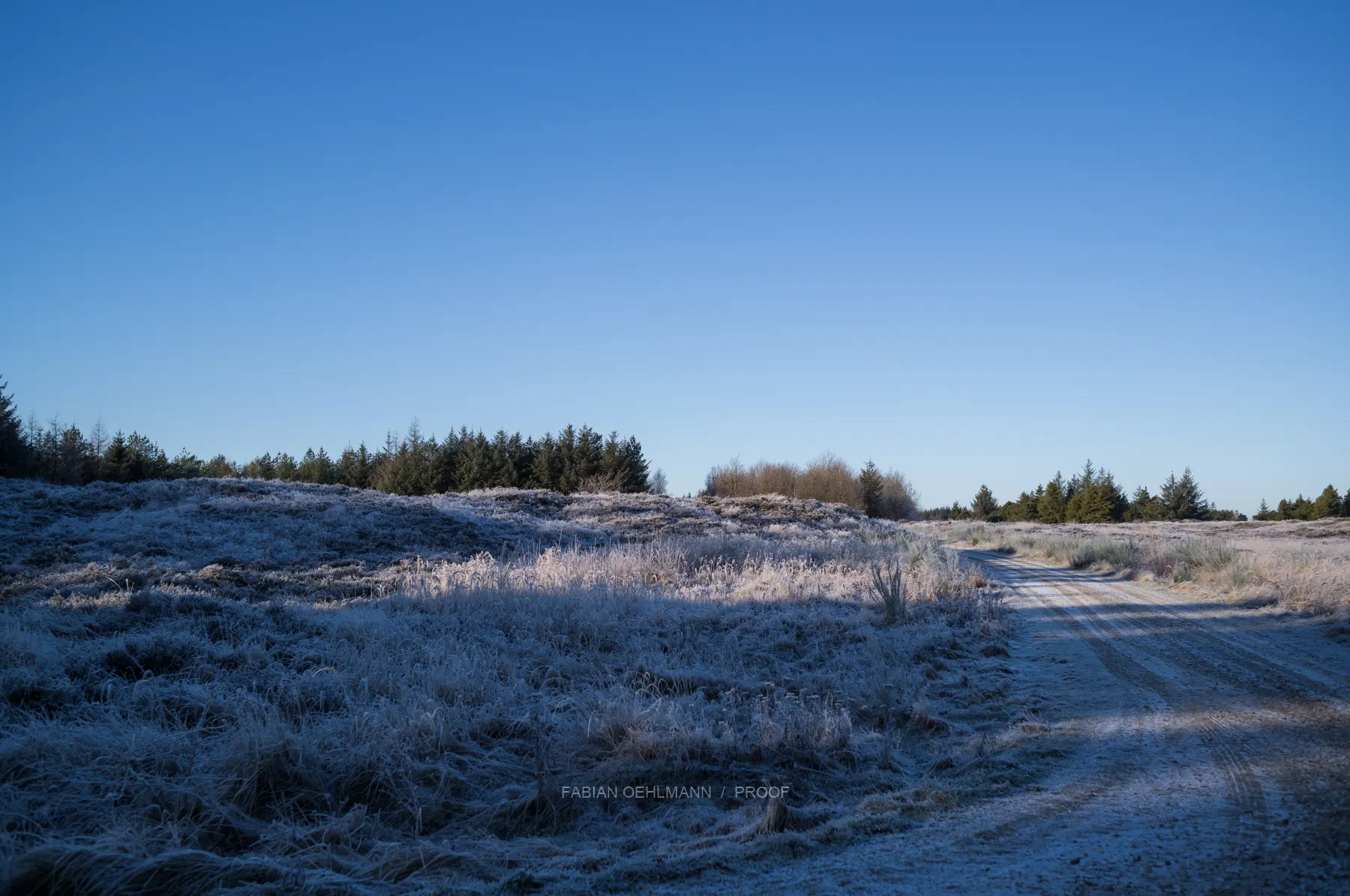 Snow-covered Nordic heath under clear blue sky